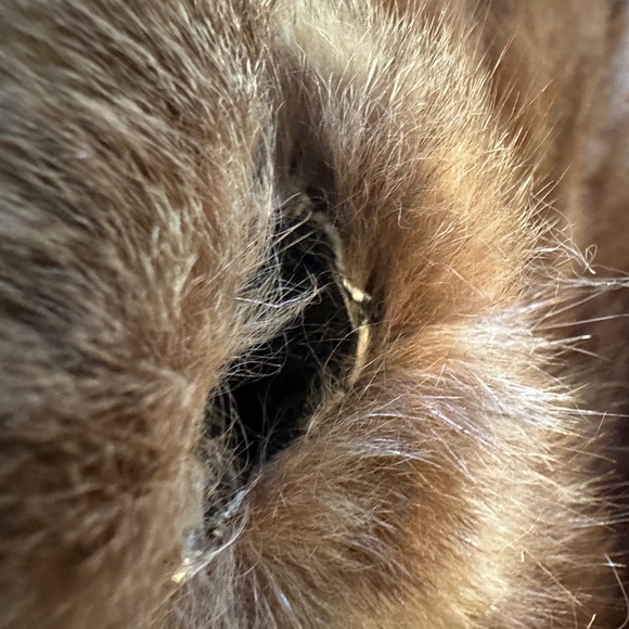 VINTAGE MINK - Picture 10 of 12